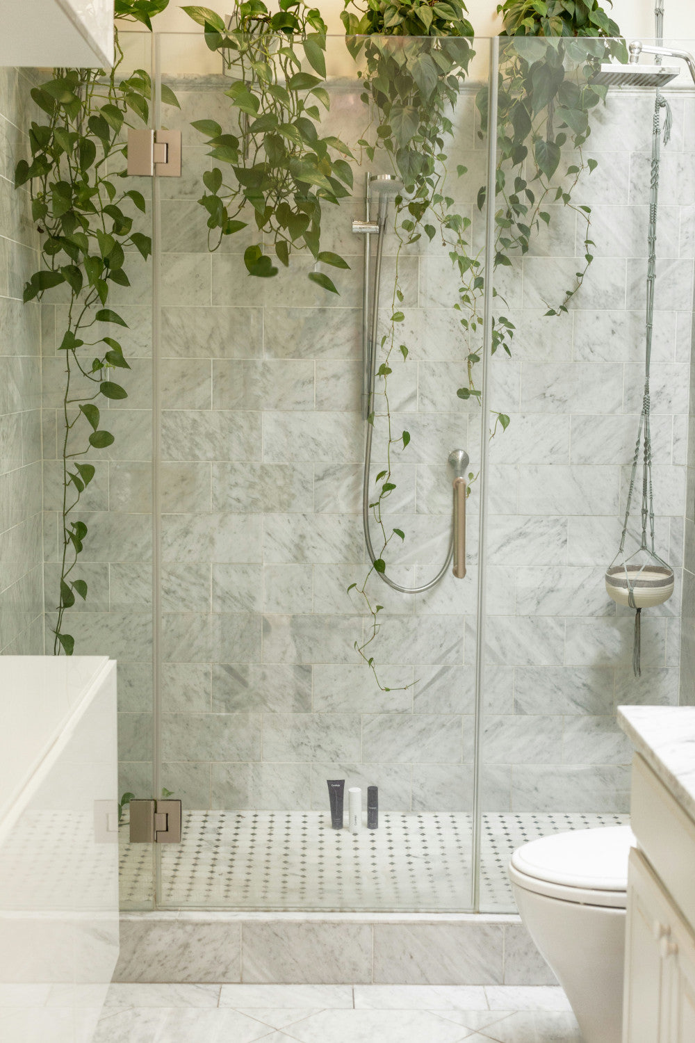 Badezimmer mit Hängepflanzen Curology (Unsplash)