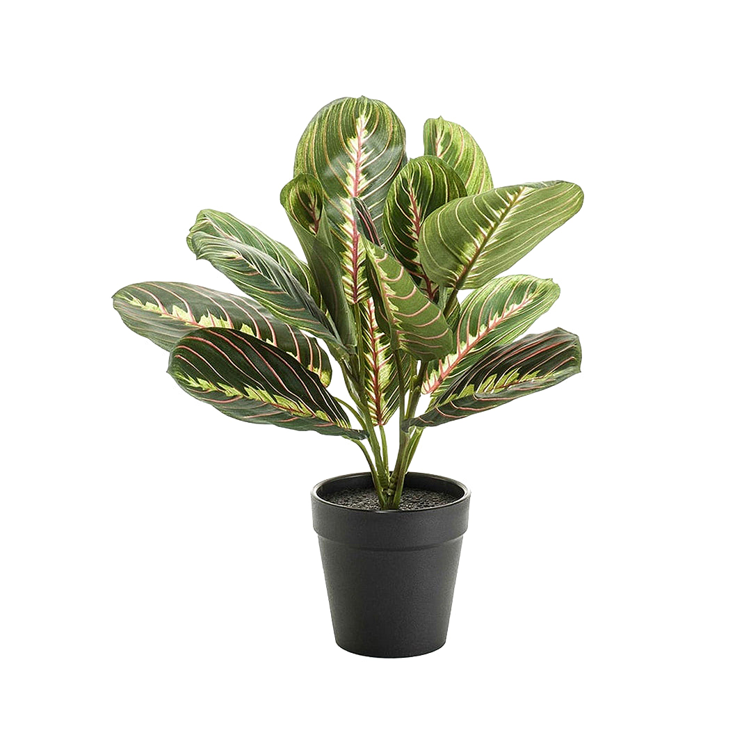 Prayer Plant – Artificial – Small