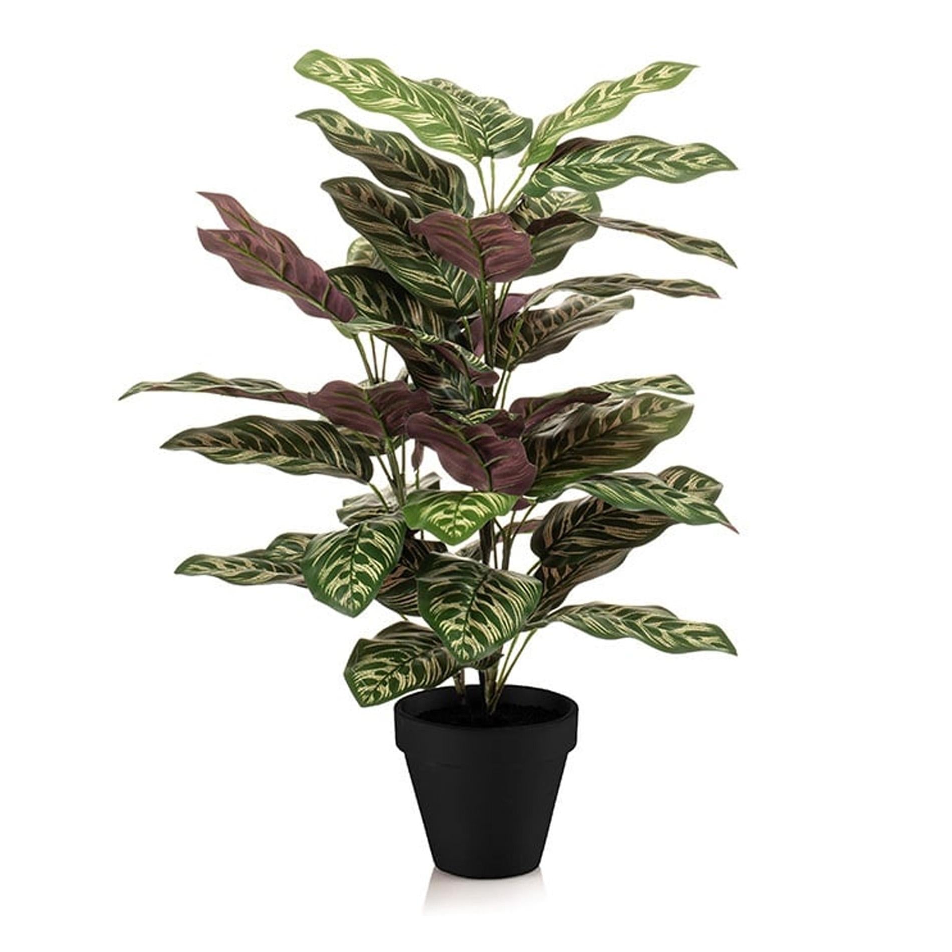 Prayer Plant – Artificial – Large