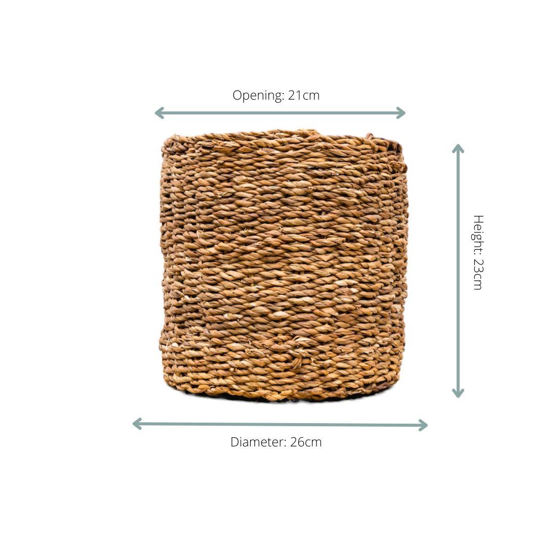 Ido the Basket - D21