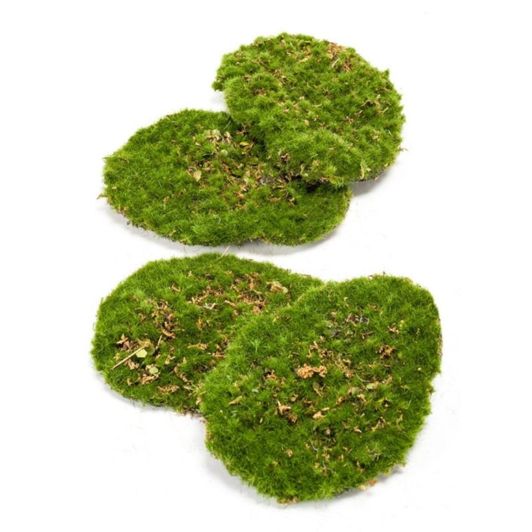 Artificial Moss – Set of 4