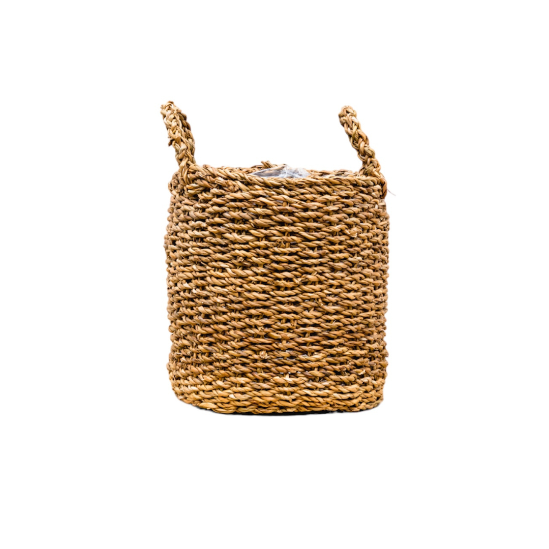 Jack the Basket – D22