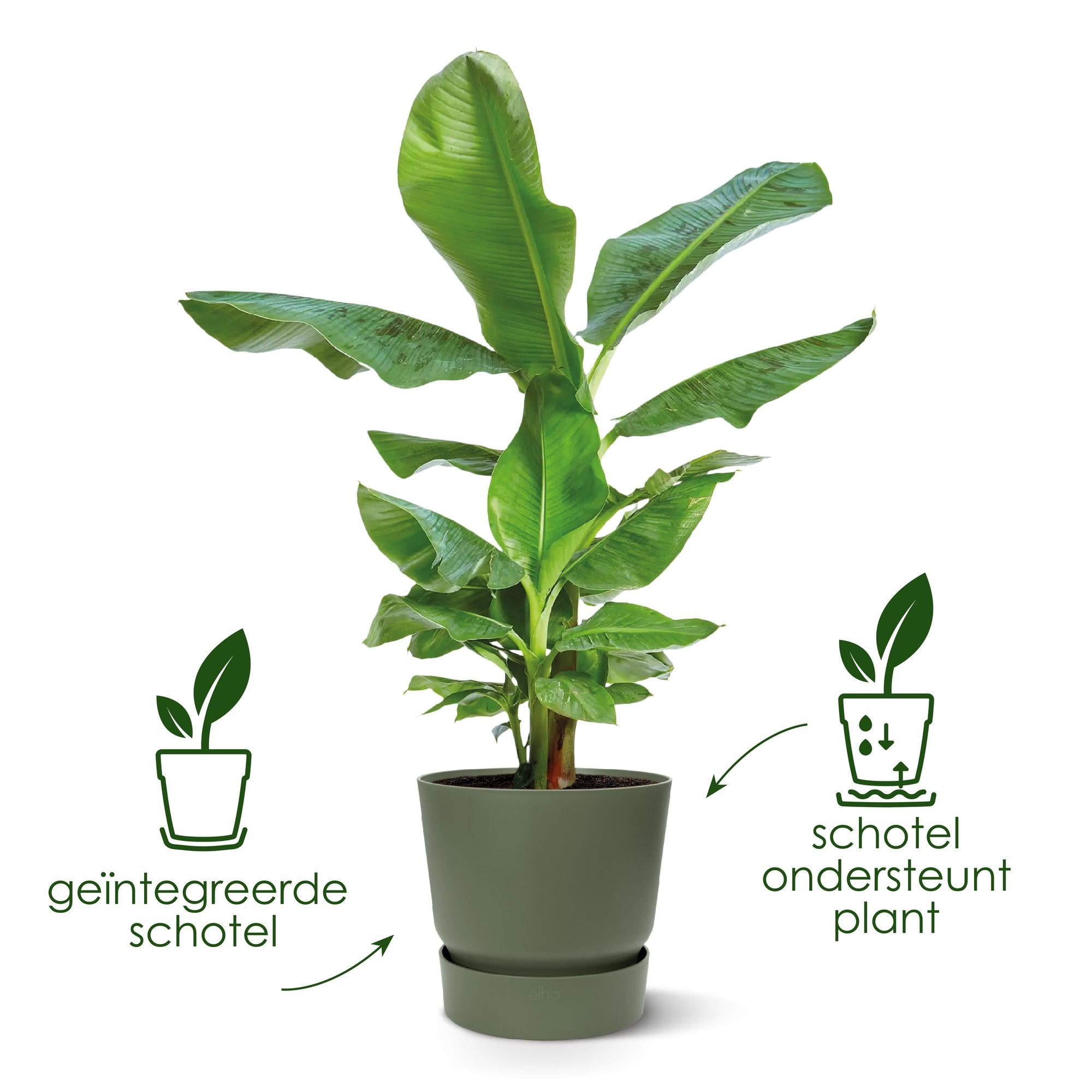 Overflow Pot – Green – D18