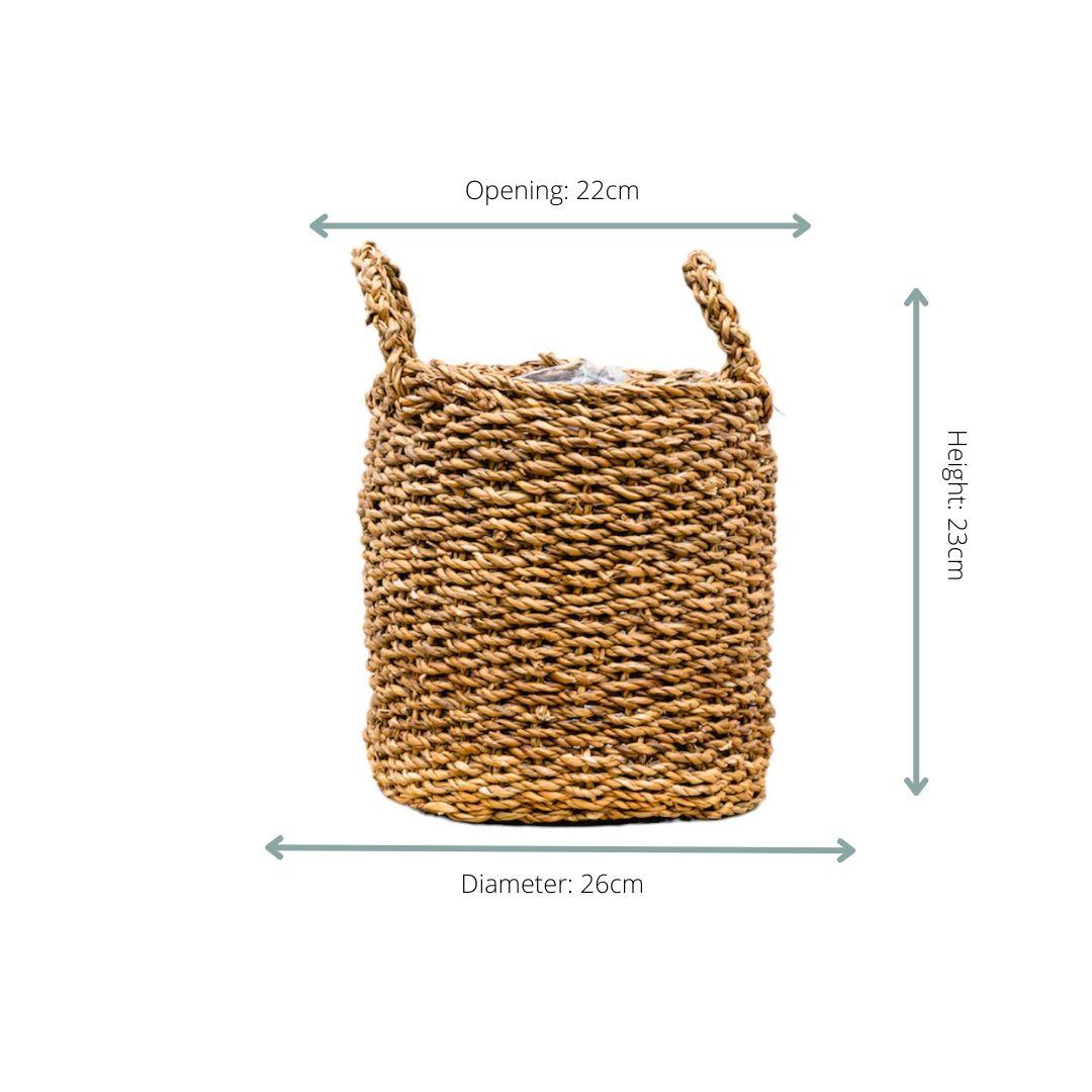 Jack the Basket – D22