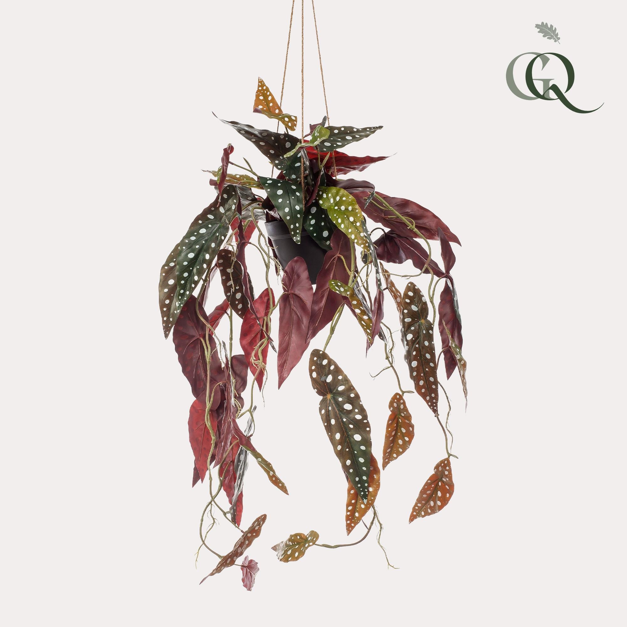 Trout Begonia - Artificial