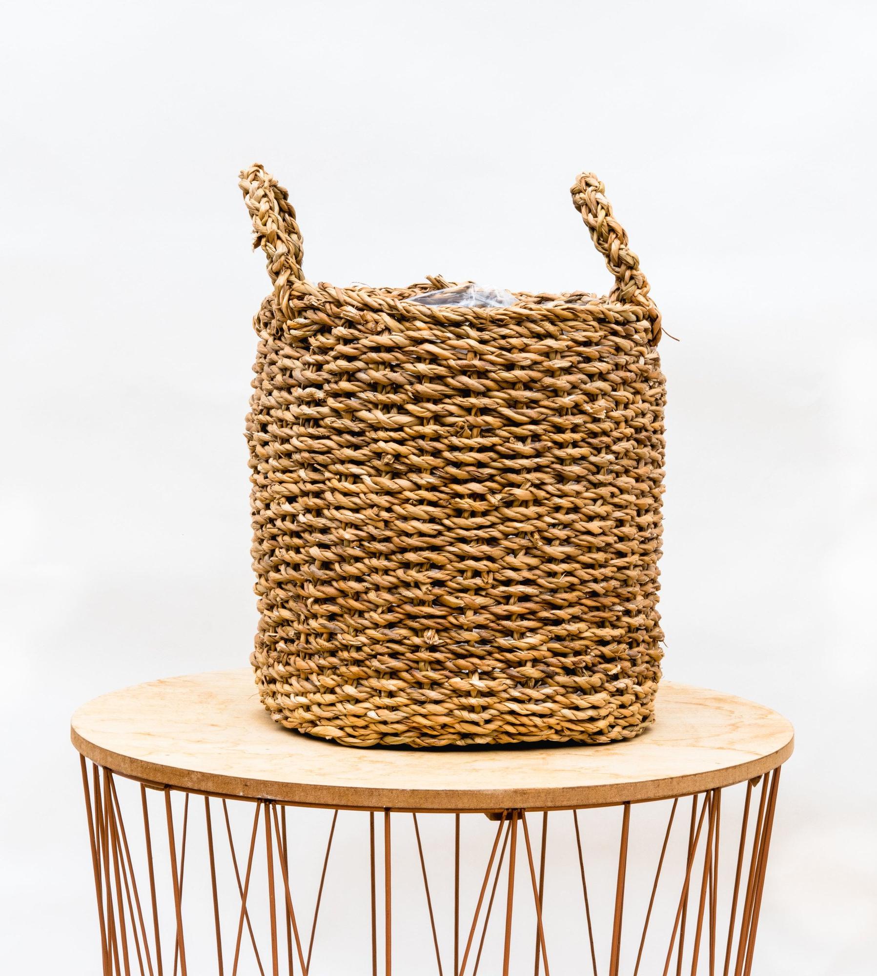 Jack the Basket – D22
